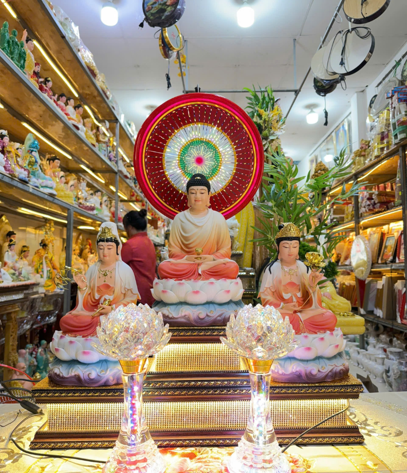 Cặp đèn cao cấp 